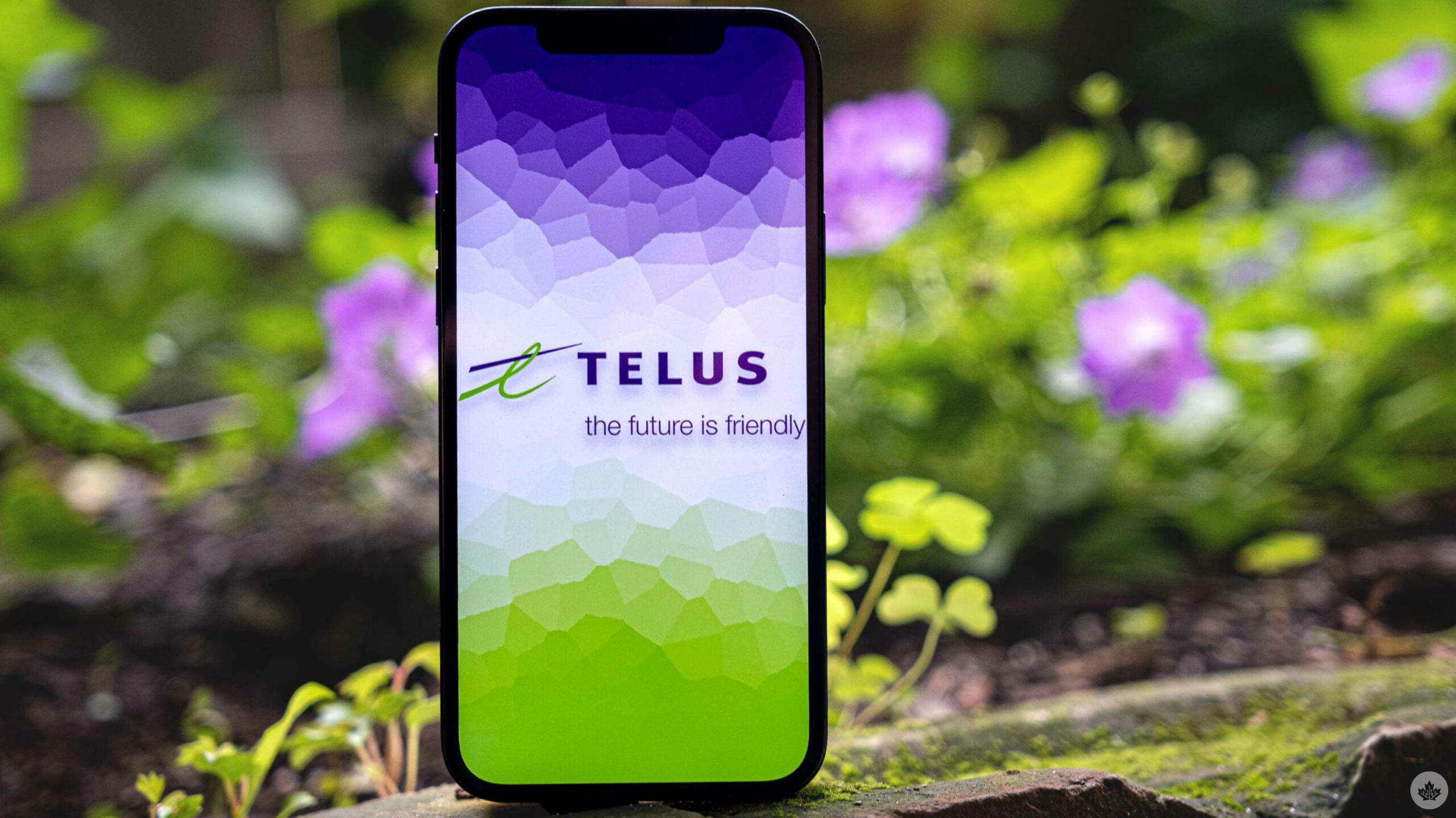 Telus will plant a tree if you buy a phone, as long as it’s not an iPhone